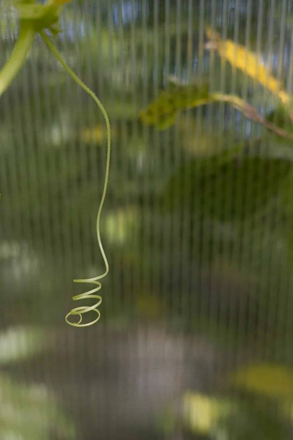 Comment adapter une moto Harley-Davidson Sportster pour une conduite confortable en ville ?